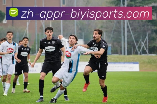 B体育平台生态图